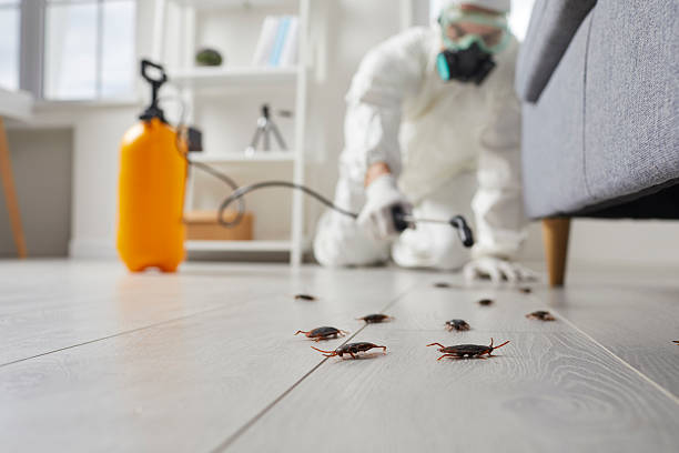 Commercial Kitchen Cockroach Control in Fairland